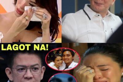 NAGSALITA NA! Chiz Escudero, IBINULGAR ANG SHOCKING NA MGA LIHIM TUNGKOL SA MISTERYOSONG BAHO NI HEART EVANGELISTA!