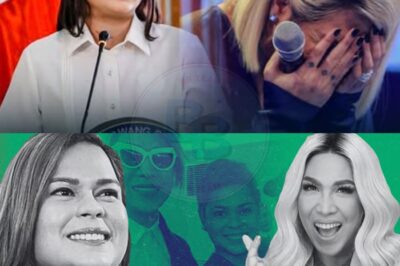 VP Sara Tungkol sa Persona Non Grata na Isyu ni Vice Ganda: “Nasa City Council na ang Desisyon” – Ano ang Lihim na Usap-usapan sa Likod ng Matinding Pahayag na Magpapaalala ng Laban sa Showbiz at Politika?