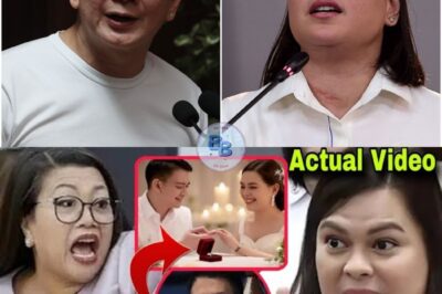 Buking na! LIHIM na WEDDING PROPOSAL ni CHIZ Escudero at SARA DUTERTE VIRAL NA! JINKY LUISTRO GALIT!