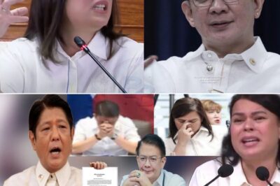 JUST IN: VP Sara Duterte Left in Tears as Senate Hearing Spirals into Chaos! Chiz Escudero Faces Public Embarrassment on Live TV as Tensions Explode Over Controversial Call to Replace Prosecutor. What Unfolded Behind Closed Doors Shocks Lawmakers and Viewers Alike—The Drama You Won’t Believe!