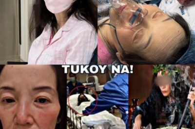 SHOCKING REVELATION: Ang Misteryosong Taong Nagsimula ng Pagmumura Kay Kris Aquino, Tinutukan Ngayon ng Lahat! Mga Netizens Hindi Makapaniwala Nang Malaman Kung Sino Siya – Ang Katotohanan na Magugulat Ka! ❗️😱