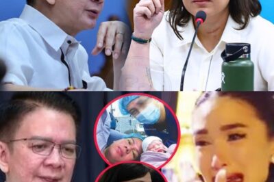 DNA BOMBSHELL EXPLODES! Chiz Escudero CONFESSES Shocking Secret: He Has a Child with VP Sara Duterte, and Heart Evangelista’s Heartbreaking Reaction Will Leave You Speechless – What’s the Untold Truth Behind This Scandalous Revelation?