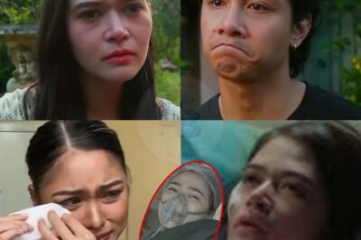 Bela Padilla in Critical Condition at the Hospital: What Really Happened to Her Health? A Strange Situation That Will Leave Many Questions!