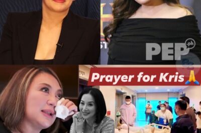 Sharon Cuneta, Subrang Naiyak sa Mga Pamamaalam at Habilin ni Kris Aquino — Fans, Nadurog ang Puso!