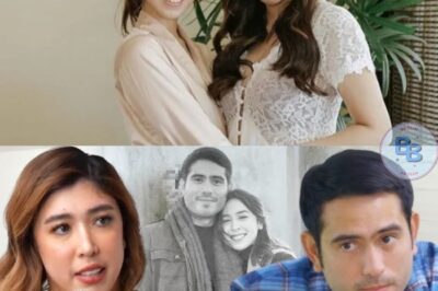 DANI BARRETTO SUMABOG NA! BINUNYAG ANG SAKITAN SA LIKOD NG JULIA-GERALD HIWALAYAN AT ANGELICA PASABOG!
