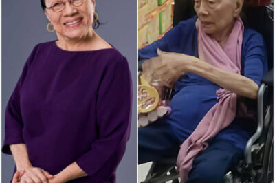 Bakit nga ba biglang nawala si Caridad Sanchez sa telebisyon? Ayon sa mga malalapit sa kanya, may isang hindi inaasahang pangyayari na tuluyang nagpatahimik sa kanyang karera… May mga umiyak sa set, at isang direktor ang diumano’y sumigaw: “Hindi na siya babalik!” Anong totoong nangyari sa likod ng kamera? May kinalaman ba ito sa pamilya, kalusugan… o isang matinding alitan?