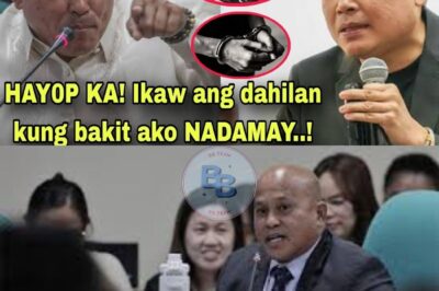 “DUMIPENSA NA! Bato Dela Rosa SUMABOG sa GALIT matapos IDAWLIT sa Missing Sabungeros! Ang Matinding Pag-atake na Magpapagulat sa Lahat!”