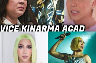 Vice Ganda Dineklarang Persona Non Grata sa Davao City: Ang Kontrobersyal na Insidente sa Concert na Nagdulot ng Malaking Paghihimagsik