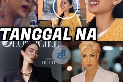 KINARMA NA! Vice Ganda, TANGGAL bilang Endorser ng McDo AGAD PINALITAN NI Heart Evangelista! Ano ang Nangyari?