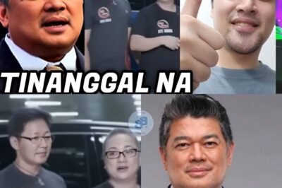 “Julius Babao BIGLANG SINIBAK ng TV5! Nalantad umano ang LIHIM sa ₱10M Interview sa Discaya—Mga Rebelasyon na YUMUGYOG sa Mundo ng Journalism at Nagpabago sa Imahe ng Estasyon!”