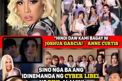 KAYA PALA IDINEMANDA NG BINI! 🔴 ANNE CURTIS, TINUKOY NA HINDI SILA BAGAY NI JOSHUA – VICE GANDA, NAGBUNYAG NG MATINDING OPINYON!