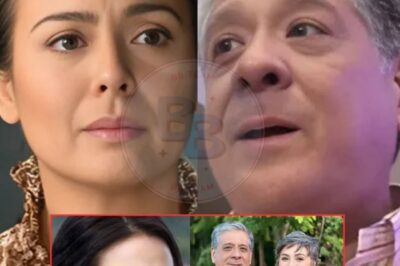 Dawn Zulueta Breaks Her Silence on Separation from Anton Lagdameo: The Truth Finally Comes Out! Dawn Zulueta shares the untold story of her separation from Anton Lagdameo, opening up about the challenges and emotional turmoil. The truth behind their split is more complex than many thought.