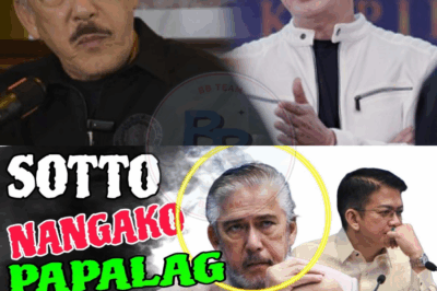 SOTTO HANDANG MAKIPAGBARDAGULAN KAY CHIZ KAPAG TINULAK NA IDISMISS ANG IMPEACHMENT!