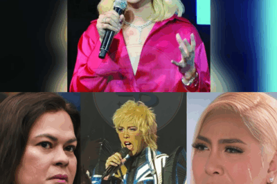 Eksplosibong balita! vice ganda, hinahampas ng matinding kontrobersya matapos ideklarang persona non grata sa davao city! diumano’y nakapagsalita ng insulto laban kay dating pangulong duterte sa entablado, nag-uumapaw ang galit at debate sa publiko — ‘wala akong masamang intensyon,’ mariing depensa ng komedyante!
