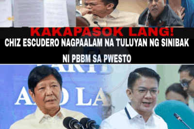 CHIZ ESCUDERO SHOCKS THE NATION WITH REVEALING STATEMENT AFTER BEING FIRED BY PBBM — “I ASKED TO STEP DOWN, BUT THEY FORCED ME OUT!
