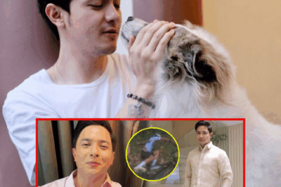 Alden Richards Mysteriously Disappears at GMA Gala 2025: What’s Being Hidden Behind His Sudden Vanishing