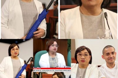 Sa isang mundo na puno ng galit at pagkadismaya sa mga isyu sa gobyerno, isang komedyante ang gumamit ng katatawanan upang magbigay ng isang malalim na mensahe. Ang kanyang tila simpleng pag-arte ay naging isang viral sensation na nagdulot ng isang malaking diskusyon online. Basahin ang buong detalye sa comments section at alamin kung paano niya napatunayan na ang katatawanan ay hindi lamang para sa tawanan, kundi isang mahalagang instrumento ng pagbabago