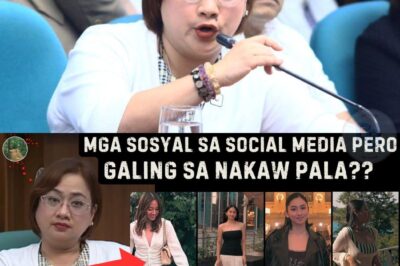 Habang ang mga ordinaryong Pilipino ay nagkakandahirap sa tuwing bumabaha, ang mga anak ng mga diumano’y sangkot sa korupsyon ay nagpapakita ng kanilang marangyang pamumuhay sa social media. May mga nagpapalipad ng helicopter sa sariling bahay, may mga nagtatayuan ng mansyon na may food elevator, na pawang galing daw sa pondo ng bayan. Ang kuwentong ito ay isang sampal sa mukha ng bawat Pilipinong nagbabayad ng buwis. Ito ang kwento ng isang bansa na lumalaban para sa hustisya. Tuklasin kung paano nabunyag ang kanilang mga madidilim na sekreto at ang naging reaksyon ng publiko sa aming post.