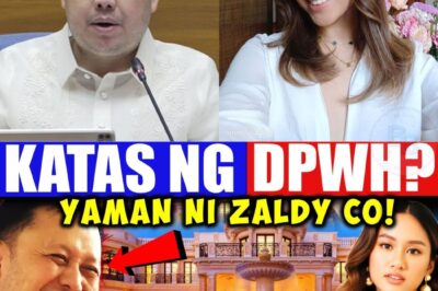 Sino nga ba si Zaldy Co, ang negosyanteng naging matagumpay at lumikha ng malawak na impluwensya sa Bicol, hanggang sa pumasok sa mundo ng politika? Ngunit sa likod ng kanyang yaman at kapangyarihan, bumabalot din ang mga kontrobersya at mga tanong na hindi pa nasasagot. Ano ang tunay na pinagmulan ng kanyang kayamanan at ang lawak ng impluwensya ng kanyang pamilya sa gobyerno at negosyo? Alamin ang buong kuwento ng kanyang pag-angat at ang mga iskandalong bumabalot sa kanyang pangalan. Basahin ang kumpletong detalye sa aming post at magulat sa kanyang kuwento.