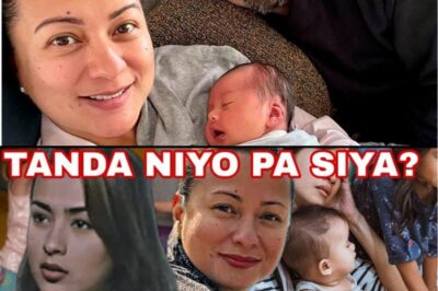 Shocking! Dating Sikat na Aktres, Ngayon ‘Baby Sitter’ na Lang sa Amerika! Ano ang Tunay na Nangyari? Basahin sa Komento!