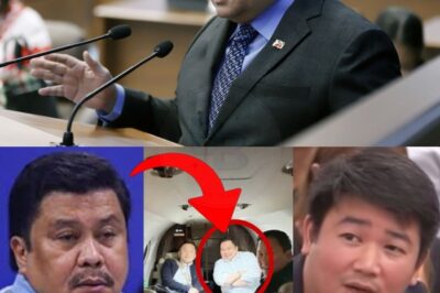 Jinggoy Estrada, Spotted Sakay ng Eroplano Palabas ng Bansa! Anong Misteryong Nakatagong Koneksyon kay Sarah Discaya, PBBM, Bato, at Chiz Hernandez?