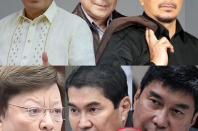 Lagot! Mga Tulfo Brothers, Nasangkot sa Kontrobersyal na Imbestigasyon ng Korupsyon sa Senado! Mga Detalye ng “Obligasyon” at Pondo, Ibinulgar — Ano ang Nakatagong Katotohanan sa Likod ng Kaso na Ito at Paano Ito Magbabago ng Lahat ng Daan sa Pulitika?