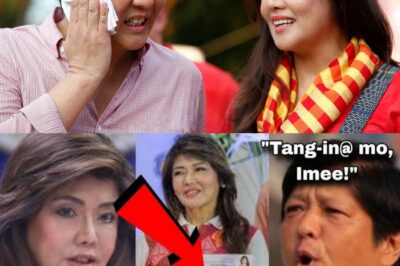 Bongbong Marcos OUTRAGED Over Imee’s Sudden Name Change — Family Tensions Explode Behind Palace Walls! Why Did Senator Imee Drop the ‘Marcos’ Name, and What Has Infuriated the President? Inside Sources Reveal a Power Struggle Brewing Within the First Family That Could Change Everything!