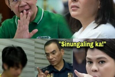 🚨Matinding Pagyanig sa Bansa! Testigo na Laban Kay VP Sara Duterte, Biglaang Dinampot ng Kapulisan Matapos ang Isang Nakagigimbal na Pagdiskubre — Ano Nga Ba ang Kanilang Natagpuan at Bakit Tila Mas Malaki Pa ang Lihim na Itinatago?