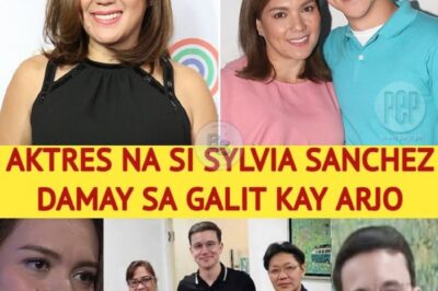 Kapamilya Star Sylvia Sanchez Dragged Into Explosive Rage Against Arjo Atayde, Family Secrets Uncovered, Showbiz Industry Shaken by Scandalous Allegations