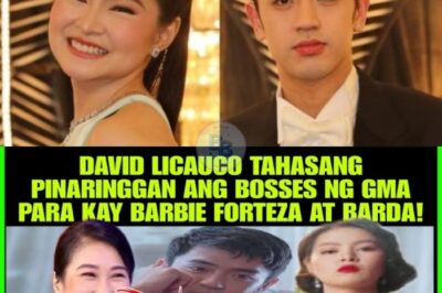 Shocking Industry Scandal Explodes: David Licauco Throws Cryptic Shade at GMA Network Bosses Over Barbie Forteza and BARDA, Leaving Fans Speechless and the Entertainment World in Total Shock!
