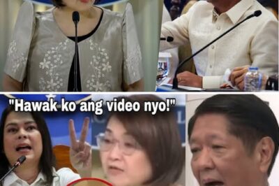 Ang Katotohanan sa Likod ng Tsismis: May Isiniwalat ba Talagang Lihim na Relasyon si Sara Duterte Tungkol kina Bongbong Marcos at Claire Castro?