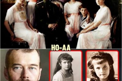 Tragische Enthüllung über die Romanovs: Überlebte jemand den grausamen Mord an der Zarenfamilie? Fast ein Jahrhundert lang war das Schicksal der Familie ein ungelöstes Rätsel, doch die moderne Wissenschaft enthüllt jetzt die düstere Wahrheit. Was geschah wirklich in der Nacht vom 17. Juli 1918?