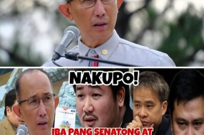 MAGALONG, NAGULAT SA MGA BAGONG PASABOG NI BRICE HERNANDEZ! Mga ‘Unexpected Names’ Ibiniyag sa Flood Control Scandal, Yumanig sa Sistema ng Pulitika: Sino-sino Pa ang Nadawit, at Ano ang Patunay?