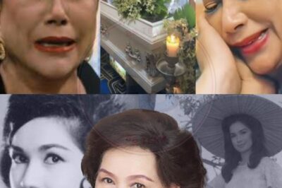 KAKAILANG LANG! Isang maalamat na beteranang aktres ang BIGLAANG PUMANAW — Nagulat at nagluksa ang buong mundo ng showbiz! Walang nakakaasahang ang nakakabagbag-damdaming pagpanaw na ito… Hindi ka makapaniwala kung sino siya, at anong mga lihim ang maaaring nasa likod ng kanyang maagang pag-alis!