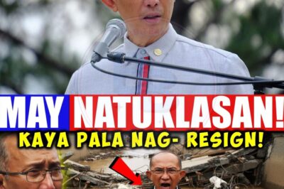 MAY NATUKLASAN! Kaya Pala Nag-resign si Mayor Magalong mula sa ICI.