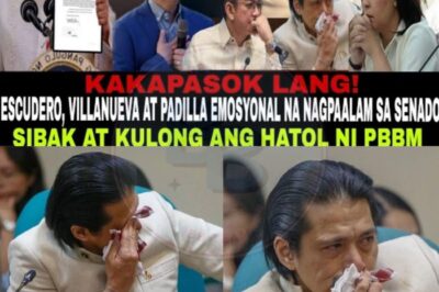Political Earthquake: PBBM Expels Major Senators—Escudero, Padilla, and Villanueva Show the Door in Sudden Power Play That Shocks the Nation!