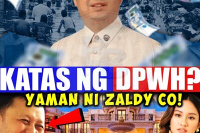 GANITO PALA KAYAMAN SI ZALDY CO. Sino Nga Ba Siya at Nasaan Na?