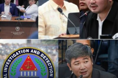 LIGTAS PA BA SI BRICE HERNANDEZ? CIDG Biglang Sumugod sa Kanyang Bahay, Selyado ang Mga Dokumento! Senador Ping Lacson Shocked—May Misteryosong Tao Daw na Nag-utos sa mga Ahente Para Pigilan ang Pagbunyag ng Flood Control Scandal! Ano ang Nilalaman ng Ebidensya na Kinakatakutan ng Lahat?