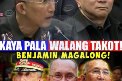 Ang Tunay na Sukatan ng Pamumuno: Kwento ni Benjamin Magalong