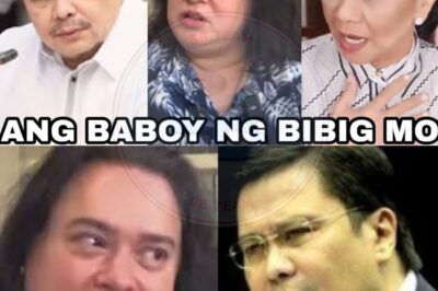 SHOCKING REVELATION: Dating Aktor at Modelo Hamunin ang Senador sa Matinding Pag-akusa! Sa isang viral post, inakusahan ng dating artista ang isang kilalang Senador ng mga “lihim na buhay” at iba pang nakakagulat na detalye. Ang buong bansa ay naguguluhan—ano ang tunay na motibo sa likod ng mga paratang?
