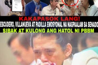 SHOCKING POLITICAL TURNAROUND: PBBM EXPULSES ESCUDERO, PADILLA, AND VILLANUEVA IN A SUDDEN AND UNEXPECTED POLITICAL PURGE, LEAVING THE FILIPINOS AND SENATE IN COMPLETE DISBELIEF!