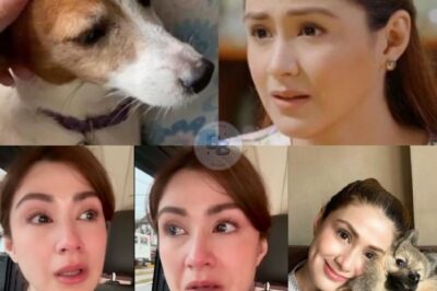 SHOCKING REVELATION: Carla Abellana Accidentally Finds a Poor Dog Left for D.e.a.d in a Horrifying Hit-and-Run Incident — What She Did Next Stuns Fans, Authorities, and the Entire Nation