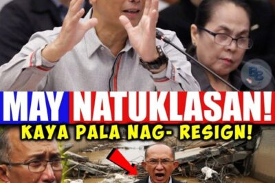 SHOCKING DISCOVERY EXPOSED: The Untold Truth Behind Mayor Magalong’s Sudden Resignation from ICI Leaves Citizens Stunned, Officials Scrambling, and Secrets So Explosive They Could Change Everything Forever