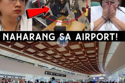 📰Mga Discaya NAHARANG Sa Airport, TATA.KAS Na Ng Pinas! –  Nakakagimbal na Rebelasyon! Siyam na Konektadong Kumpanya ng Iisang Pamilya Diumano’y Sumakmal ng Halos 500 Flood Control Projects, Bilyon-Bilyong Pondo, at 28 Luxury Cars—Senado Binulabog ng Eskandalo!