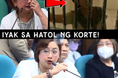 “Eksklusibong Pagbubunyag: Siyam na Kumpanya, Bilyong Proyekto, 28 Luxury Cars – Paano Naging Hari ng Flood Control Projects ang Pamilyang Discaya Habang Nagdurusa ang Taumbayan sa Baha?”