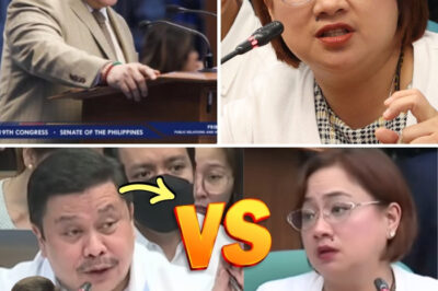 🔥 JINGGOY ESTRADA SUMABOG SA SENADO! SARAH DISCAYA, BINUNYAG NA MAY 28 LUXURY CARS AT KONEKSYON SA DPWH – SAAN GALING ANG YAMAN?!