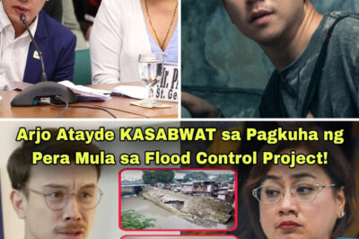 💥Mag-asawang Discaya bumulaga! Arjo Atayde daw kumubra ng milyon mula sa flood control project—katotohanan o panibagong sabwatan?!😱