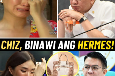 Heart Evangelista, Umiiyak Dahil sa Hermes Bag—Chiz Escudero, Bakit Nga Ba Kailangan Bawiin?