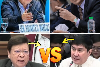 SEN. MARCOLETA BINANATAN SI SEN. RAFFY TULFO SA SENATE HEARING! ISYU NG “UNLIMITED ORAS” NABUKO – ANG PABORITO NIYANG LARUAN, BINUKA!