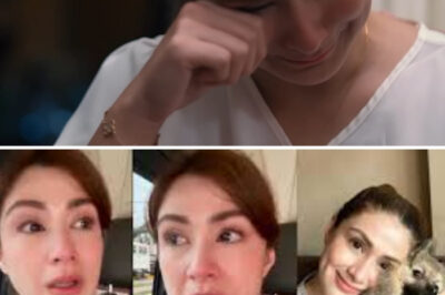 Carla Abellana BINUHAT ang Nabundol na Aspin — Pero ang Sumunod Niyang Ginawa, Ikagugulat Mo! 😱💔